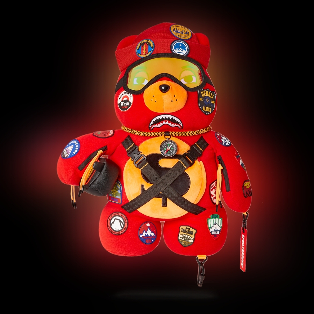 THE GLOBAL EXPEDITION MONEYBEAR TEDDYBEAR BACKPACK
